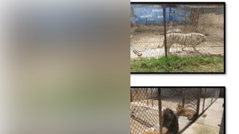 Zoológico incautado a narco