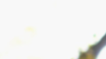 Algunos signos del zodiaco serán bendecidos en Acción de Gracias.