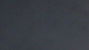 Adamari López Toni Costa