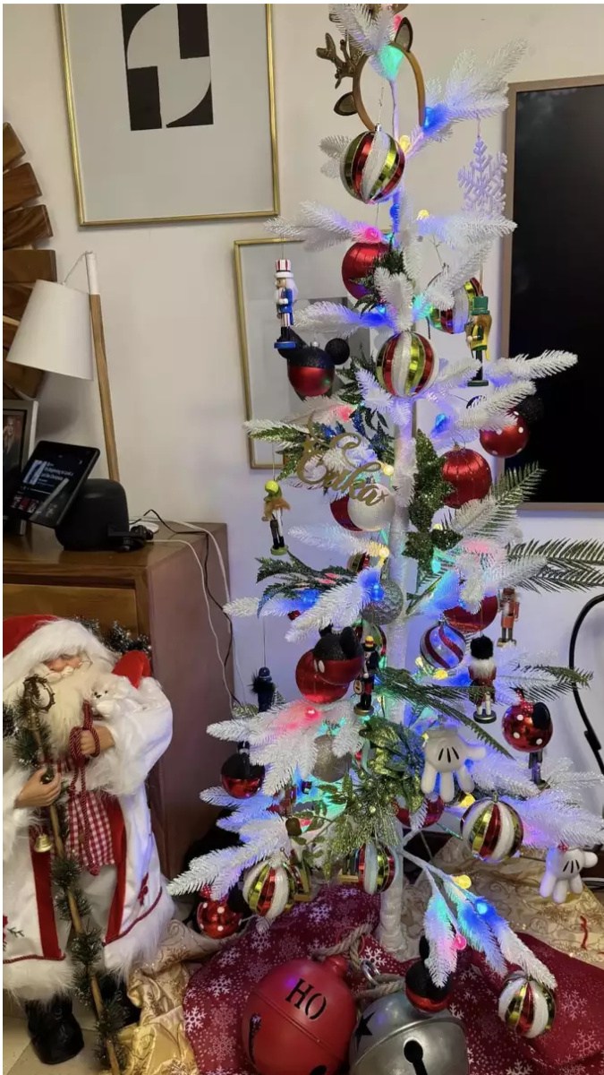 Árbol Erika Buenfil