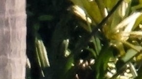 Candela Márquez y Alejandro Sanz