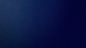 Cardi B Donald Trump