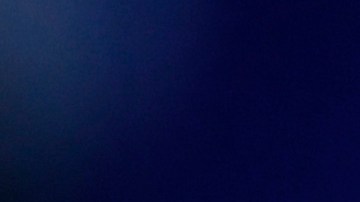 Cardi B Donald Trump