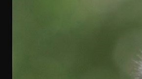 La policía dijo que están trabajando con el personal del Centro de Investigación de Primates Alpha Genesis para encontrar a los fugitivos.