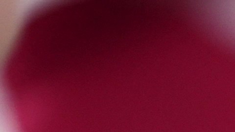 Cheque de estímulo estatal de $725 dólares: ¿Quiénes serán beneficiados?