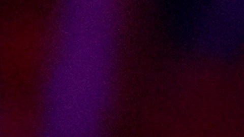 Juez permite a Musk seguir con su 'lotería' electoral en apoyo a Trump hasta mañana