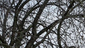 El hombre, que no fue identificado, resultó gravemente herido por el derrumbe y el atrapamiento.