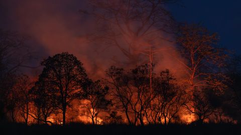Los incendios forestales continuaron el domingo por la noche en medio de condiciones cálidas y secas en el noreste