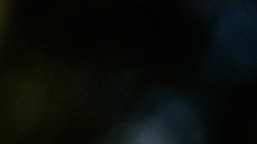 El 30% de los trabajadores agrícolas de EE.UU. son mexicanos inmigrantes.