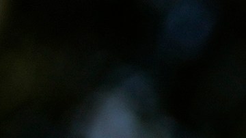 El 30% de los trabajadores agrícolas de EE.UU. son mexicanos inmigrantes.