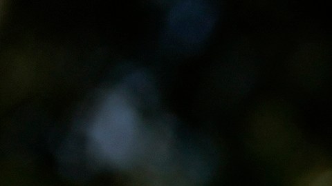 El 30% de los trabajadores agrícolas de EE.UU. son mexicanos inmigrantes.