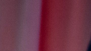 Trump respaldó al presidente de la Cámara de Representantes, Mike Johnson, en reunión con la conferencia republicana de la Cámara.