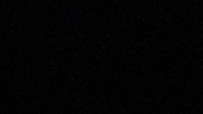 ¿Qué hará Kamala Harris si gana las elecciones?