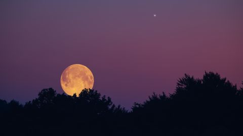La Luna llena de noviembre también es conocida como Luna del Castor.
