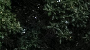 El director ejecutivo de COFEM Francisco Moreno habla durante una conferencia de prensa en Los Angeles.