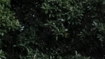 El director ejecutivo de COFEM Francisco Moreno habla durante una conferencia de prensa en Los Angeles.