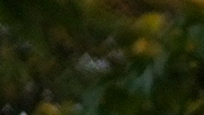 Tras el rescate de los migrantes, los agentes pidieron el apoyo del Instituto Nacional de Migración (INM) para su traslado