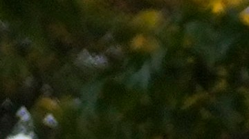 Tras el rescate de los migrantes, los agentes pidieron el apoyo del Instituto Nacional de Migración (INM) para su traslado