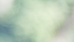 todos los primates recuperados gozan de buena salud.