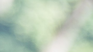 todos los primates recuperados gozan de buena salud.