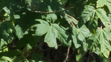 El 777 es un número angelical que se hace presente por razones específicas.