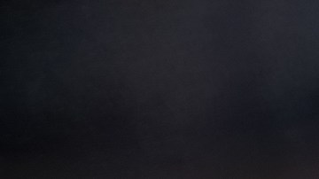 Algunos miembros del grupo fueron detenidos, pero finalmente no se realizó ningún arresto.