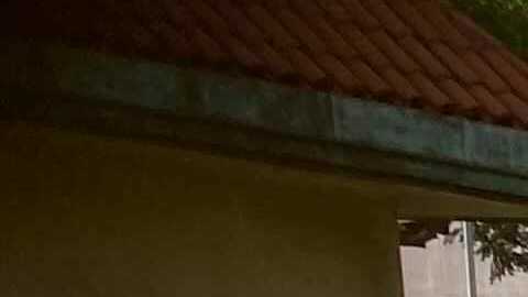 Servicio Secreto envía a perros robot a patrullar residencia de Donald Trump en Florida