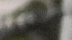 Congresistas de Connecticut reciben amenazas de bomba el Día de Acción de Gracias