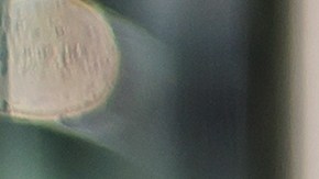 Lo que para ti pudiera ser falta de organización o mal hábito, para la ciencia consiste en la forma en que tu cerebro percibe y maneja el tiempo.