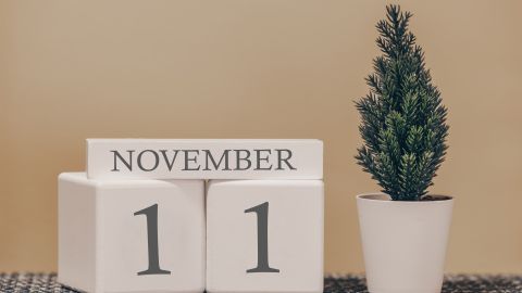 El día 11 del mes 11 es un portal energético, según la numerología.