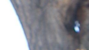 Yolanda Zelaya dijo estar lista para el Día de Acción de Gracias.