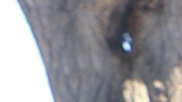 Yolanda Zelaya dijo estar lista para el Día de Acción de Gracias.