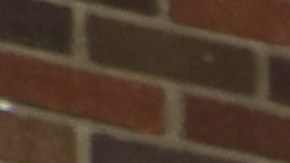 Latinos ejercen su voto en el Centro de Recreación Ramón García, en el este de Los Ángeles.