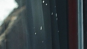 Ralph Macchio, Tamlyn Tomita y William Zabka