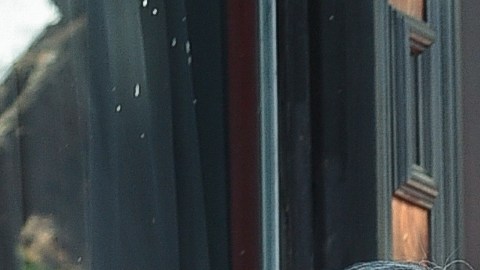 Ralph Macchio, Tamlyn Tomita y William Zabka