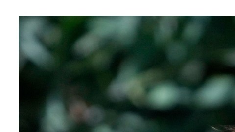 Ringo Starr y Barry Keoghan