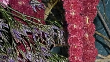 Ryan Reynolds y Hugh Jackman