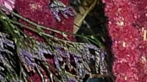 Ryan Reynolds y Hugh Jackman