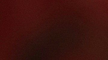 A estos santos se les puede dedicar una petición.