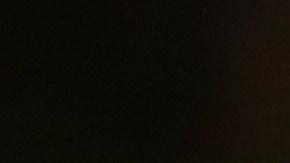 El 18 de noviembre se recuerda la vida de destacados santos.