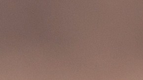 El día 22 de noviembre se recuerda la vida de destacados santos.