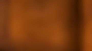 Familias de las escuelas chárter crea una comunidad.