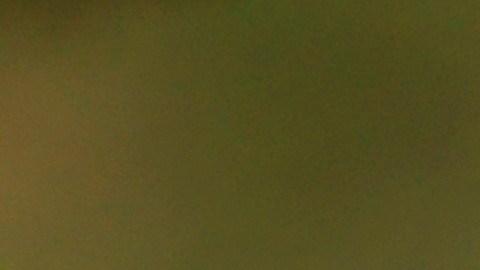 Las monedas y el verde son símbolos de la suerte en la astrología china.
