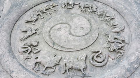 Los 12 signos del horóscopo chino representan animales poderosos.