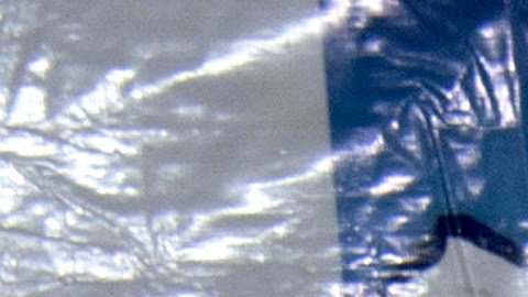Thalía Ernestina Sodi