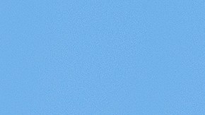 El reconocido supermercado abre sus puertas desde temprano durante Black Friday.