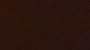 El presidente electo Donald Trump está completando rápidamente su gabinete.