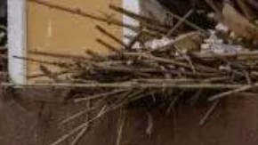 Gran parte de la provincia española de Valencia ha quedado devastada.