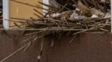 Gran parte de la provincia española de Valencia ha quedado devastada.