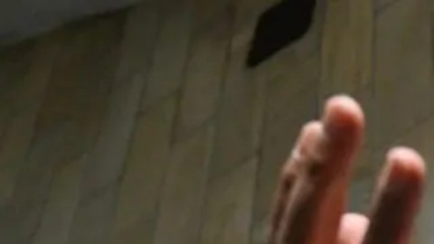 Zamora acababa de regresar a su domicilio tras más de dos años en prisión preventiva.